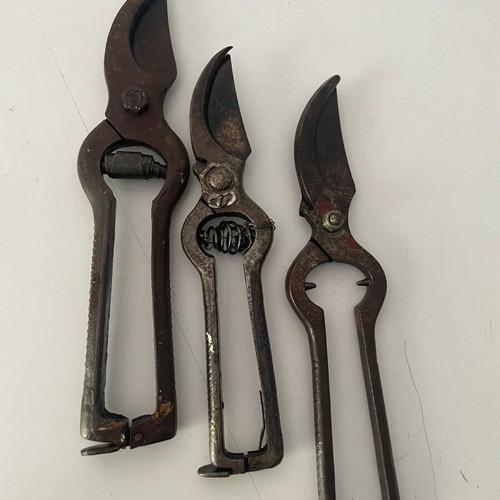 Pruning shears used, set of 3 from 1965
