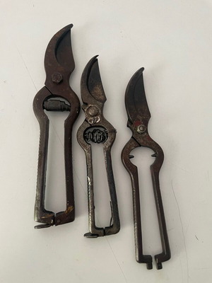 Pruning shears used, set of 3 from 1965