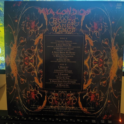 Vaya Con Dios Roots and Wings LP like new