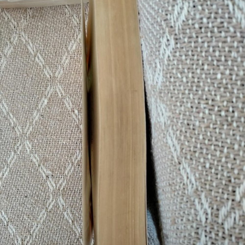 The Stone Dancer Murray Smith used book