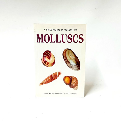 A Field Guide in Colour to Molluscs by Václav Pfleger like new