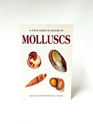 A Field Guide in Colour to Molluscs by Václav Pfleger like new