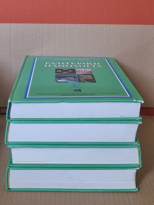 Internal pathology used, 4 volumes, Sotirios A. Raptis