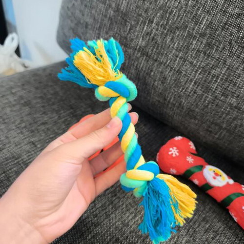 Set of 3 unused dog toys
