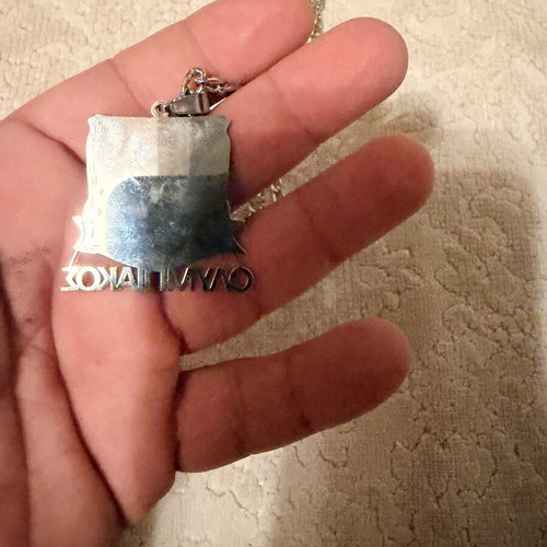 Olympiakos steel pendant with vintage lion logo