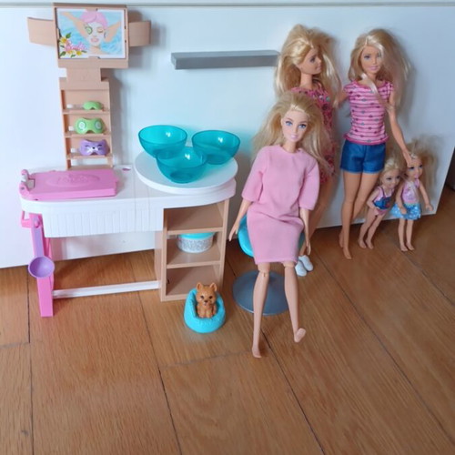 Barbie beauty studio with 4 dolls and dog, used