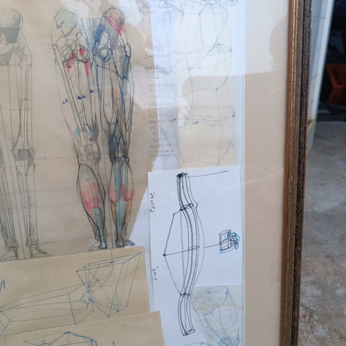 Anatomical Study Board by Efthymios Kollias used, vintage art