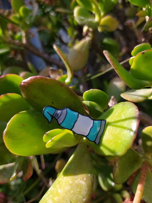 Pin brooch