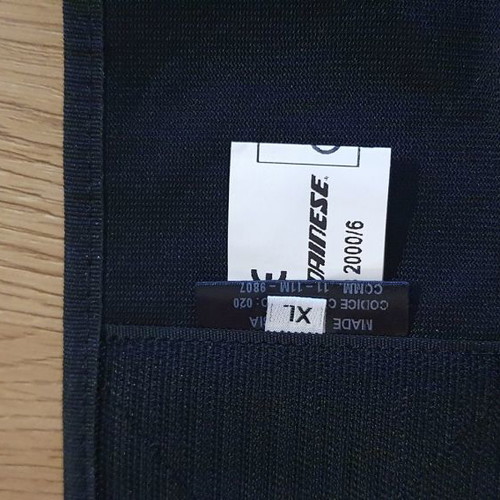 Dainese chest and back protection used