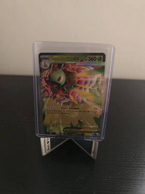 Mega Meganium ex ASC 010 new