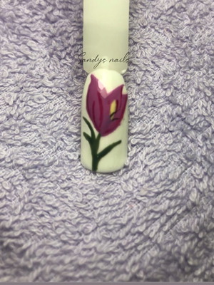 Press on nails new set of 10 with free application kit