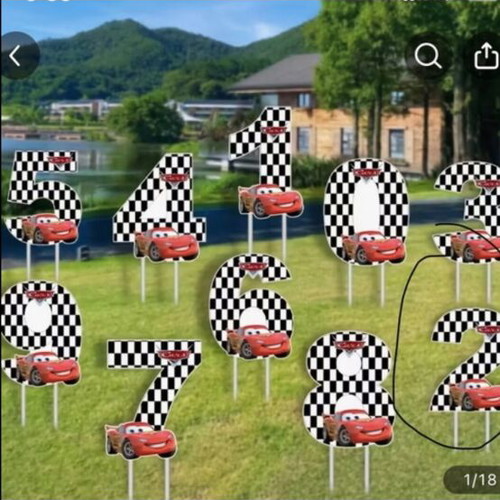 Party supplies set with road carpet, cones, flags, and accessories