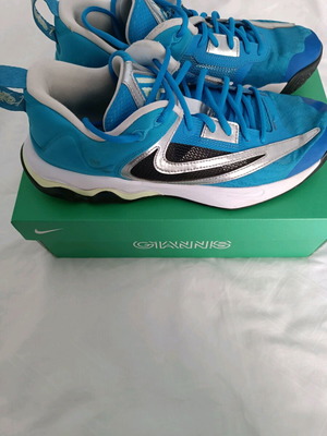 Nike Zoom Freak 4 size 44 like new, gray and blue
