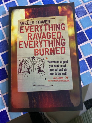 Everything Ravaged Everything Burned book new in English by Wells Tower