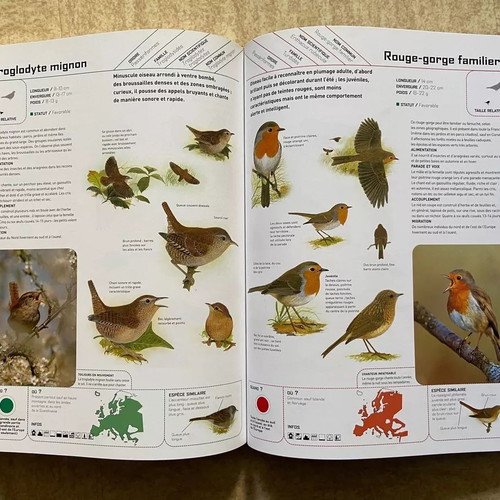 The Great Encyclopedia of European Birds Oiseaux like new, French