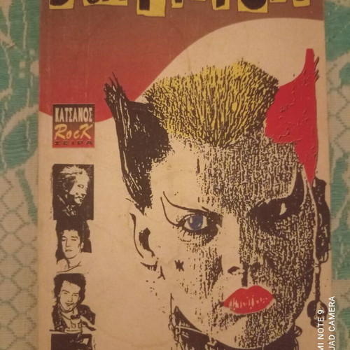 Βιβλίο Sex Pistols