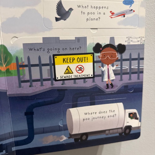 First Questions and Answers: Where Does Poo Go? new children's book in English