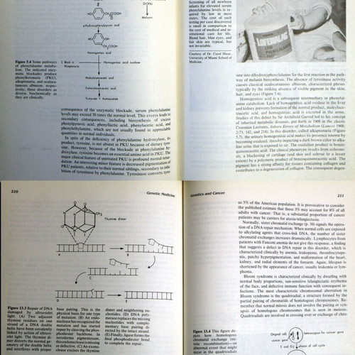 Genetic Medicine by Karl H. Muench like new, English edition