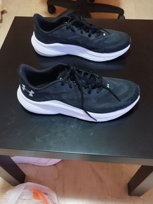 Αθλητικά παπούτσια Under Armour, μπλε, μέγεθος 45