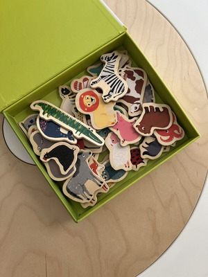 Djeco magnets like new