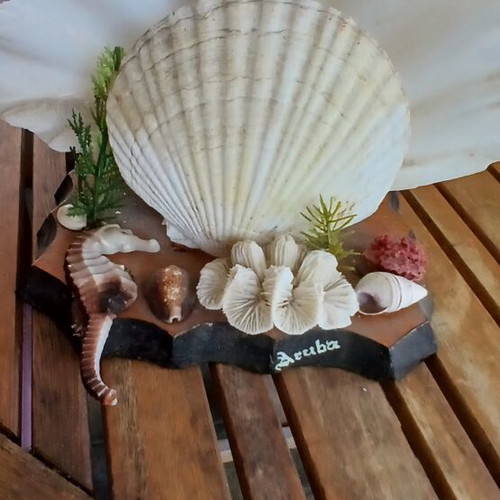 Decorative lamp with seashells from Aruba, vintage