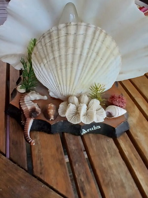 Decorative lamp with seashells from Aruba, vintage