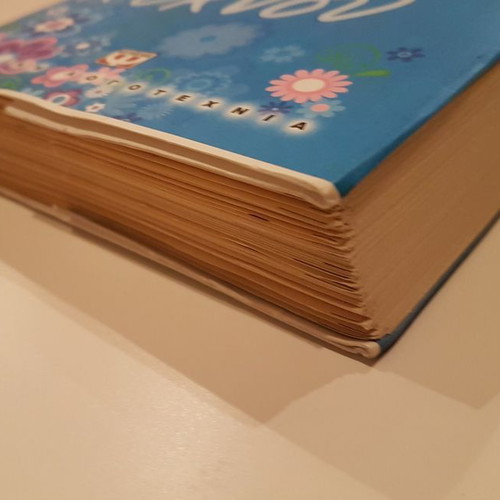 Children's book With the Wings of the Swan used