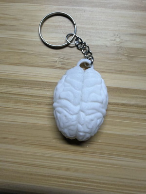 Brain 3D Printed Keychain new, white with USE IT message