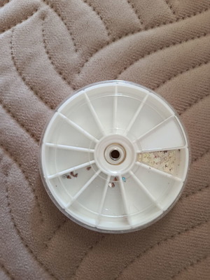 Decorations for manicure and pedicure, like new