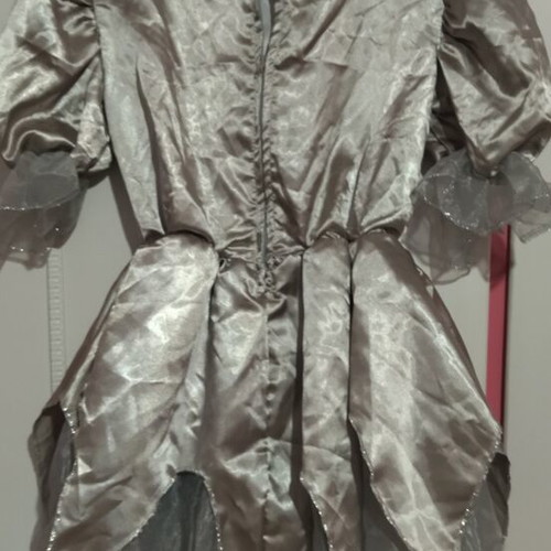 Carnival costume like new