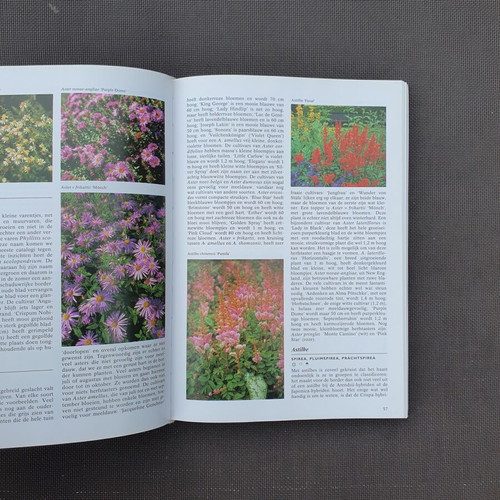 Geïllustreerde Border Planten Encyclopedie gardening book by Hanneke van Dijk