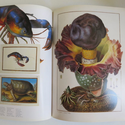 Beaux Arts magazine used for National Museum of Natural History 1994