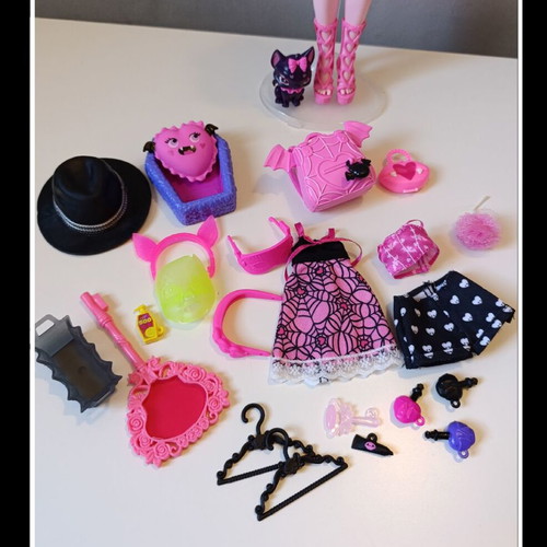 Monster High Draculaura doll with pet and accessories