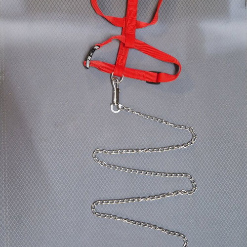 Dog chain leash new with harness for small to medium dogs