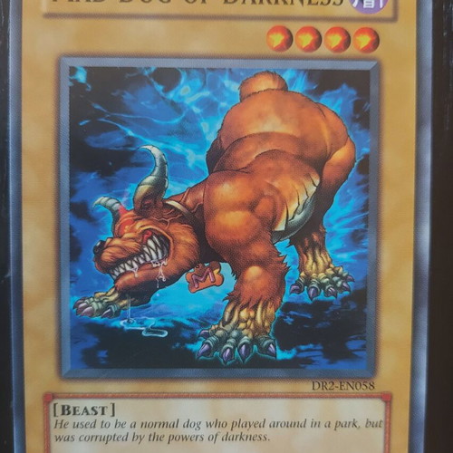 Mad Dog of Darkness Yugioh card like new