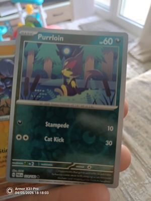 Pokemon Purrloin (PAR 114) like new, Paradox Rift Holo Rare