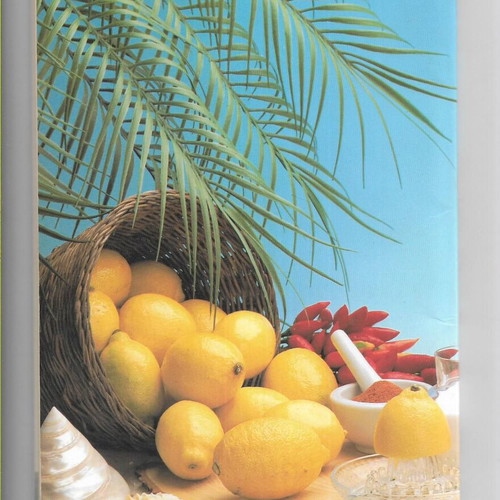 K.A. Beyer The Lemon Cure book used, 1995 edition