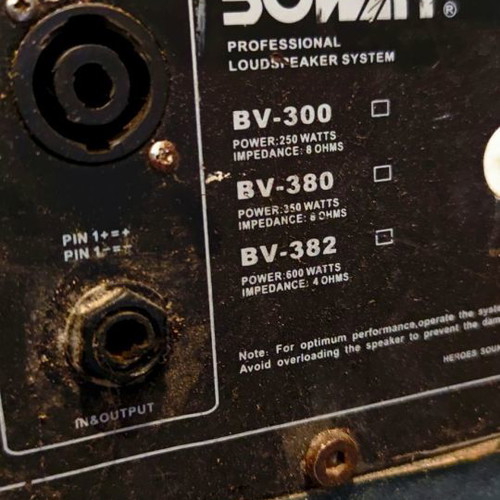Professional speaker 300 watt 15' woofer used