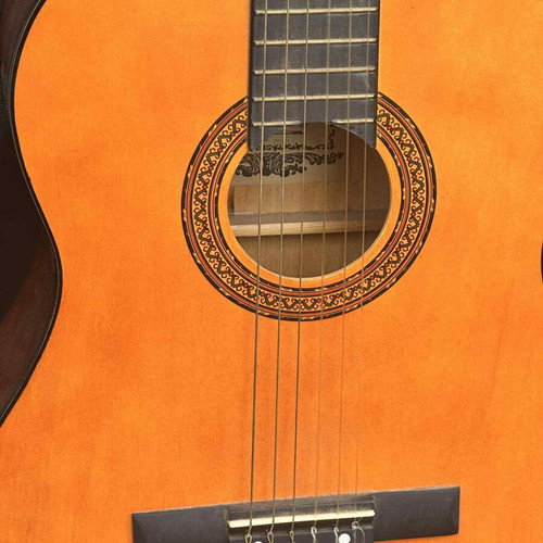 Finesse C65 classical guitar used with soft carrying case