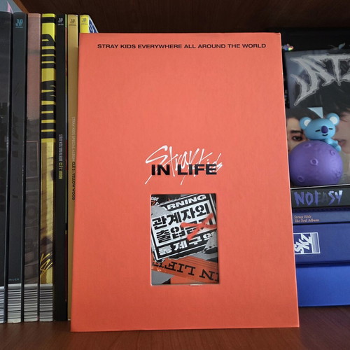 Stray Kids In Life album used