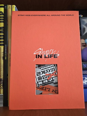 Stray Kids In Life album used