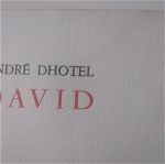 DAVID ANDRE DHOTEL 34/100 EXEMPLAIRE 1ERE EDITION 15/01/1947 NON COUPE