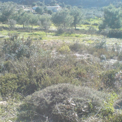 Οικόπεδο Ζάκυνθος 2300 τ.μ. εντός σχεδίου, γωνιακό, οικοδομήσιμο, Αγαλάς