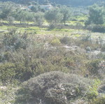 Οικόπεδο Ζάκυνθος 2300 τ.μ. εντός σχεδίου, γωνιακό, οικοδομήσιμο, Αγαλάς