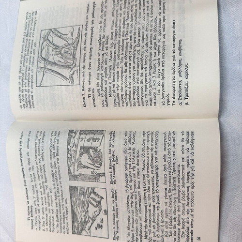 How to Survive Political Defense Handbook book like new, 1972