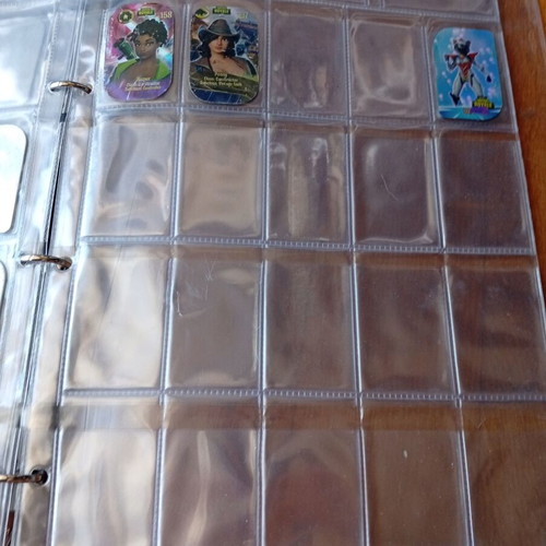 Collector's Album for Metal Tags 2018-2019 like new