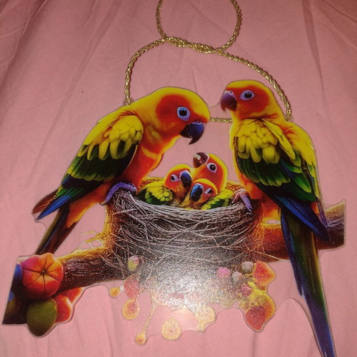 Family Parrots decoration new acrylic wall or window hanging