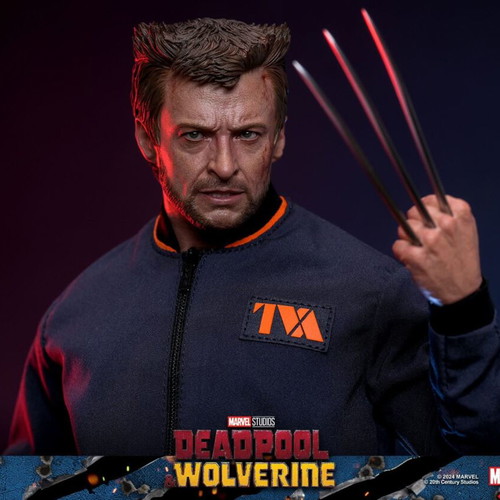 Hot Toys Wolverine TVA Jacket Version 1/6 Scale new