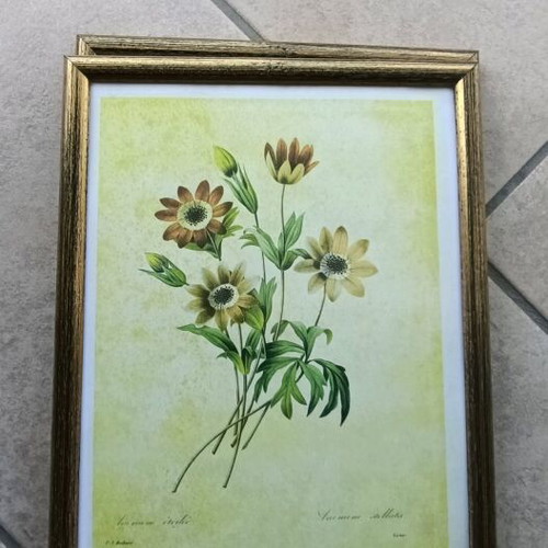 Flower frames set of 8, like new, 24x31.5 cm