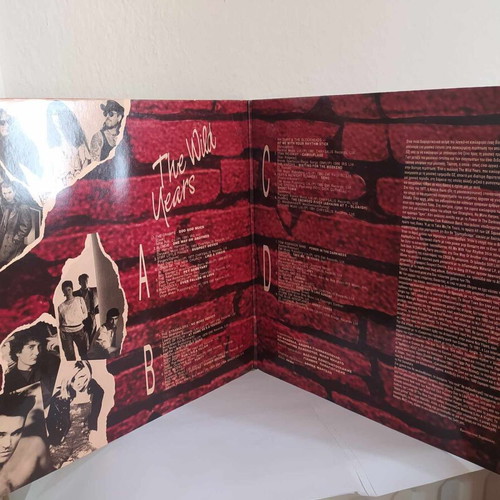 The Wild Years double vinyl used, rock
